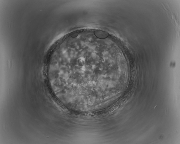 X0000094061255200711091120