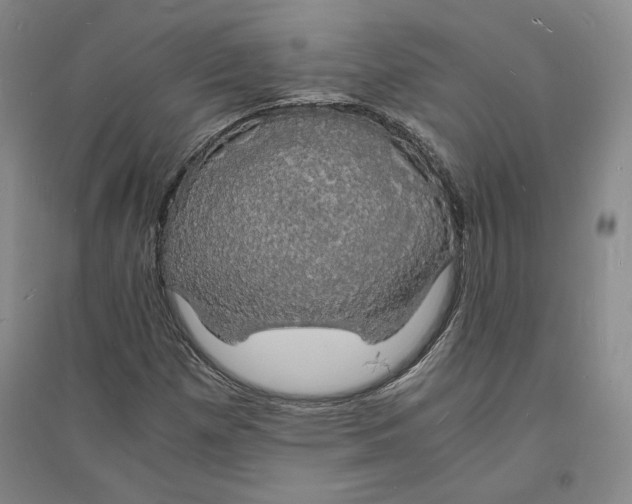 X0000094061257200711091120
