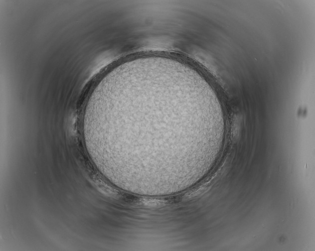 X0000094061258200711091120
