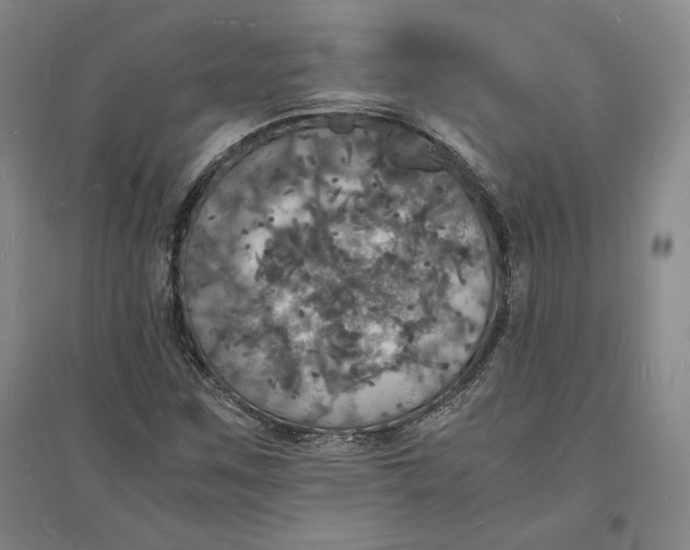 X0000094061259200711091120