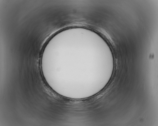 X0000094061260200711091120