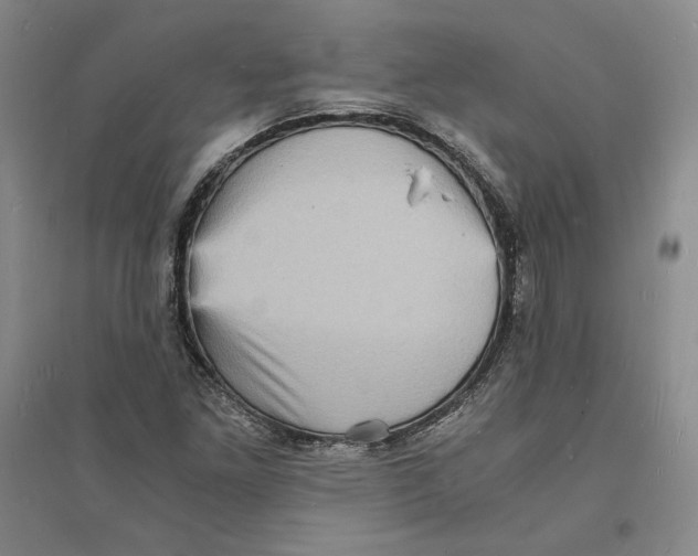 X0000094061261200711091120