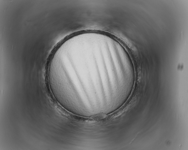 X0000094061264200711091120
