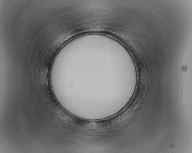 X0000094061265200711091120