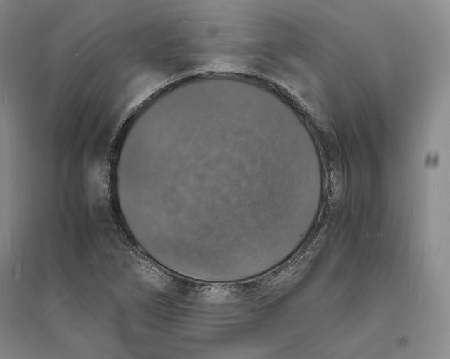 X0000094061266200711091120
