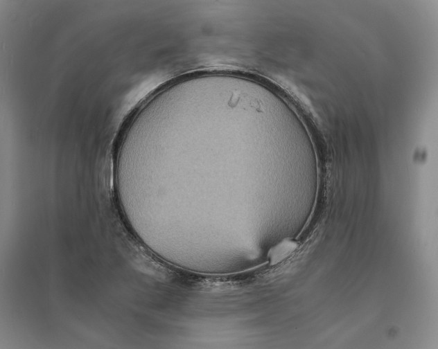 X0000094061269200711091120