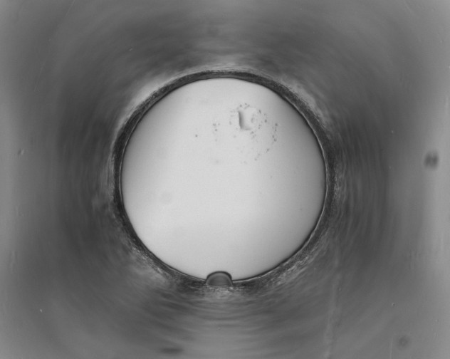 X0000094061270200711091120