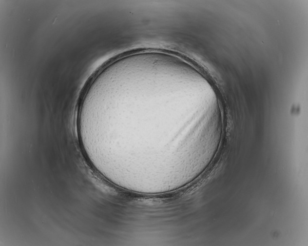 X0000094061272200711091120