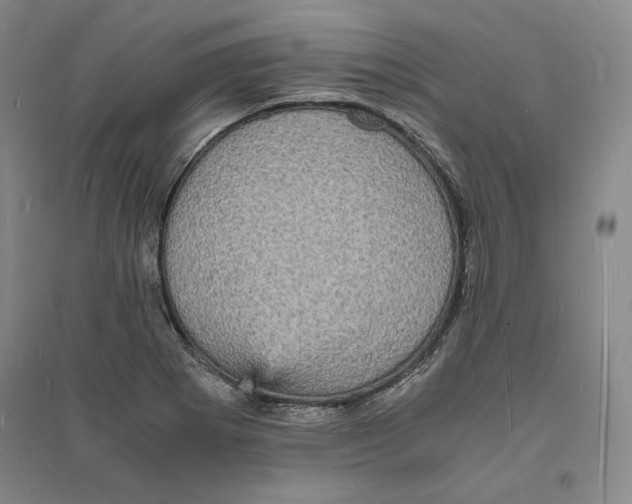 X0000094061273200711091120