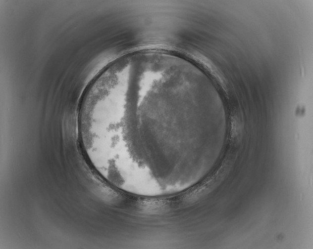 X0000094061274200711091120