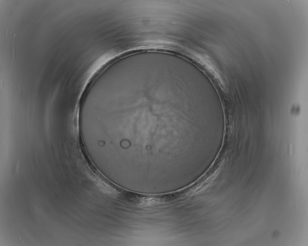 X0000094061275200711091120