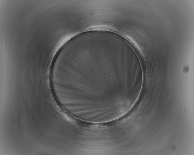 X0000094061277200711091120