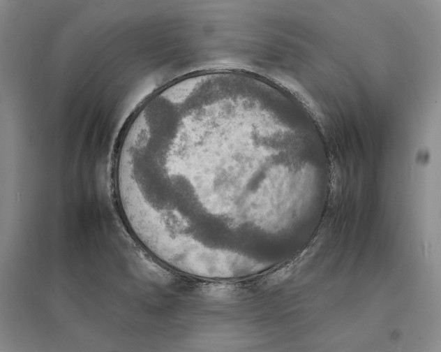 X0000094061278200711091120