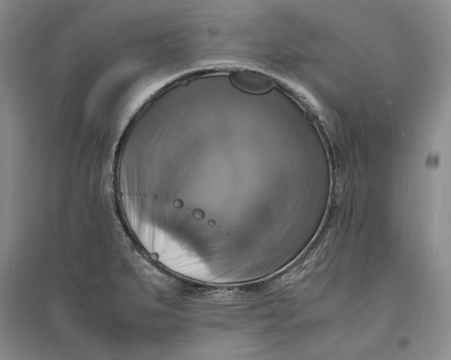 X0000094061279200711091120