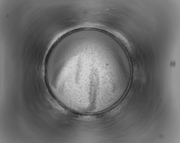 X0000094061280200711091120