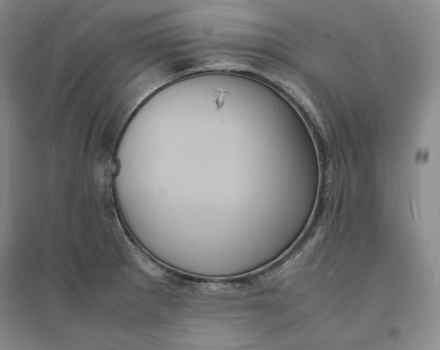 X0000094061281200711091120