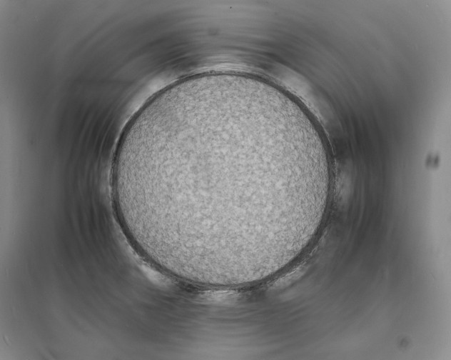 X0000094061282200711091120