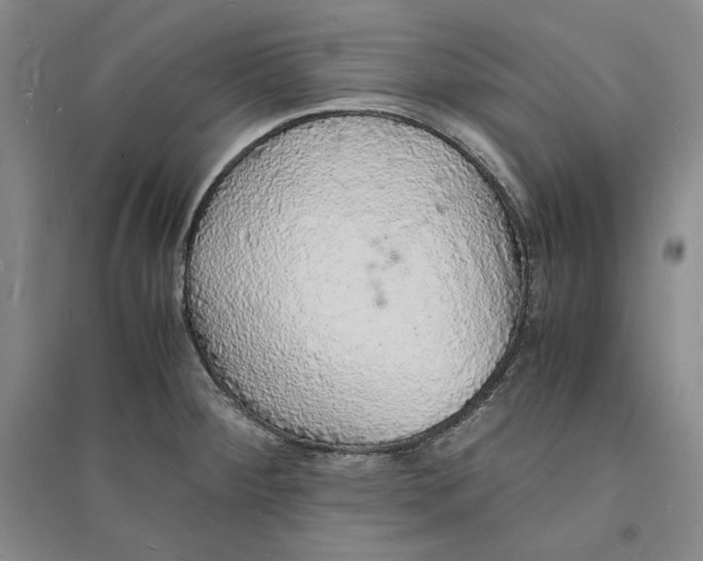 X0000094061284200711091120