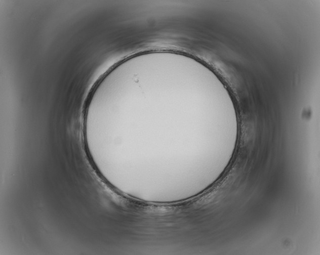 X0000094061286200711091120