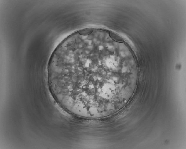 X0000094061287200711091120