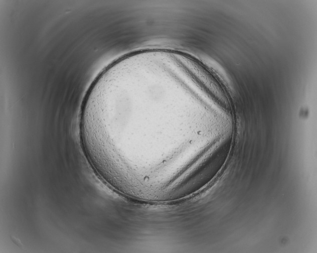 X0000094061288200711091120