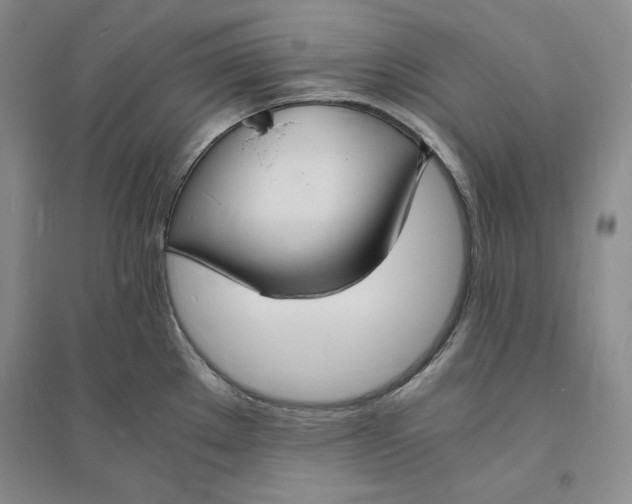 X0000094061289200711091120