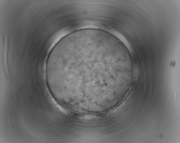 X0000094061290200711091120