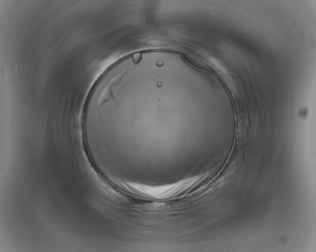 X0000094061291200711091120