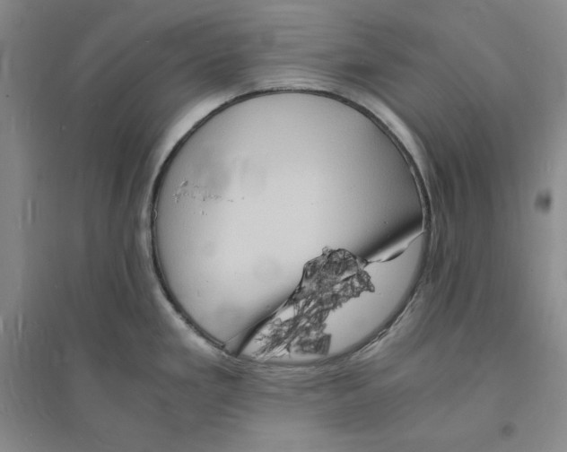 X0000094061293200711091120