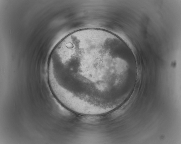 X0000094061294200711091120