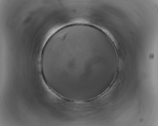 X0000094061295200711091120