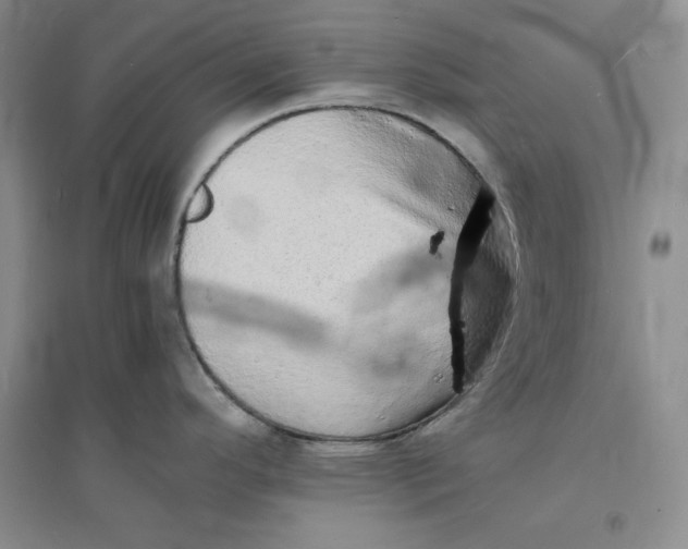 X0000094061296200711091120