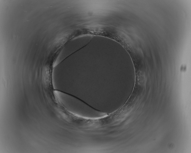 X0000094061298200711091119