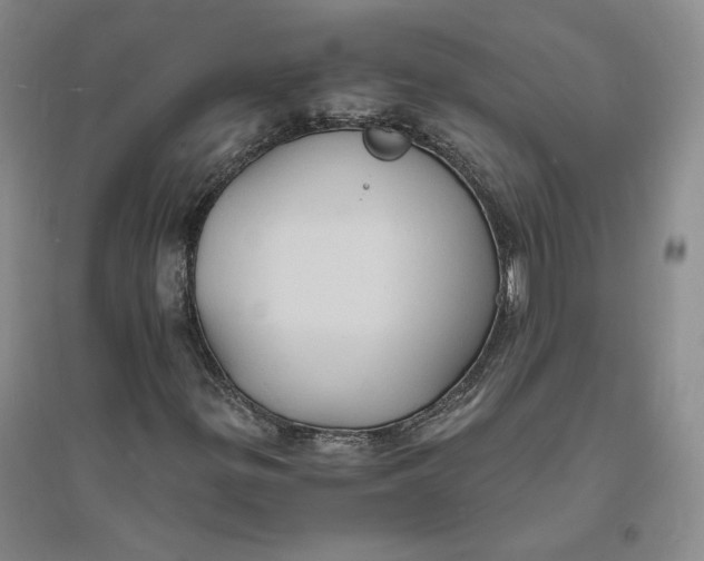 X0000094061299200711091119