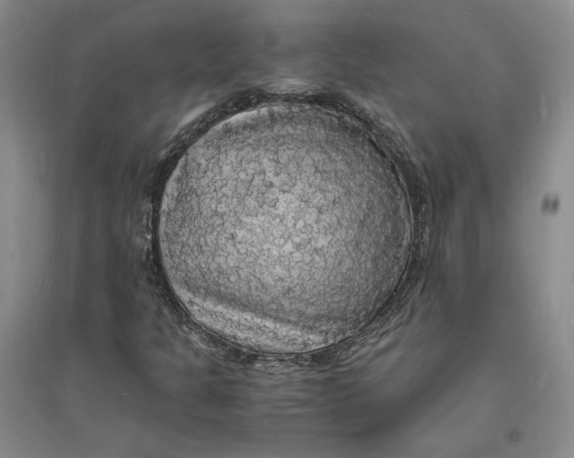 X0000094061301200711091119