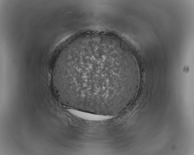 X0000094061302200711091119
