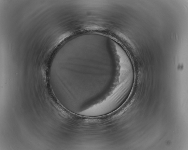 X0000094061305200711091119