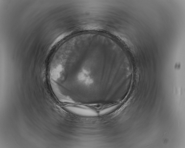 X0000094061306200711091119