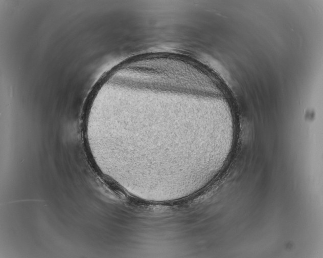 X0000094061308200711091119