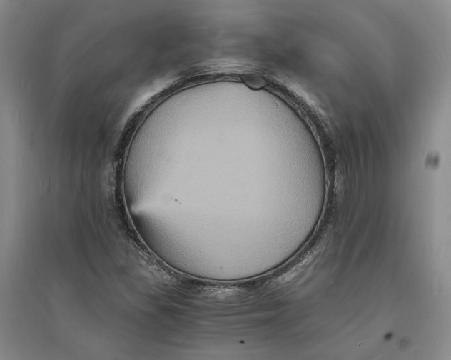 X0000094061309200711091119