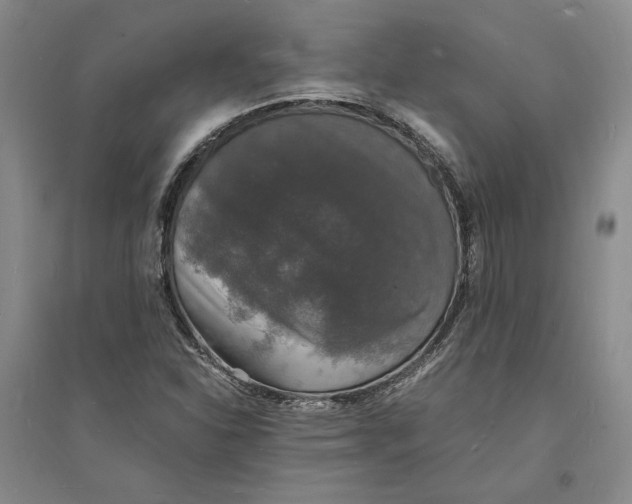 X0000094061310200711091119