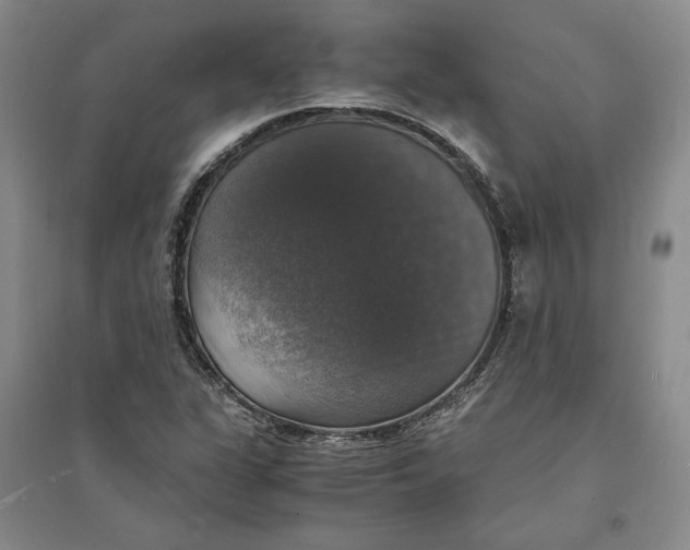 X0000094061311200711091119