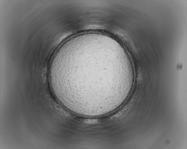 X0000094061313200711091119