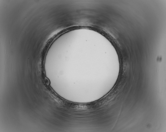 X0000094061315200711091119