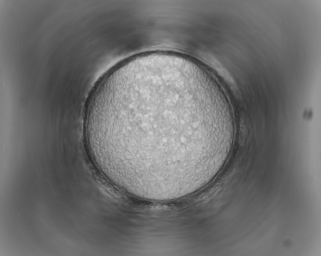 X0000094061316200711091119