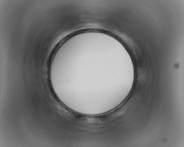 X0000094061318200711091119