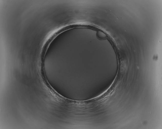 X0000094061319200711091119