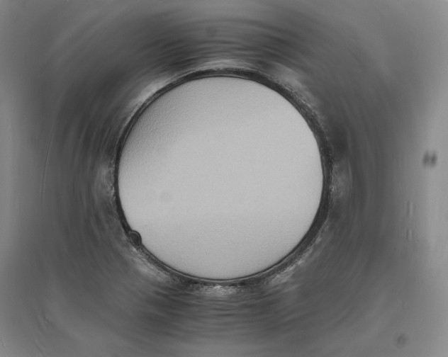 X0000094061321200711091119
