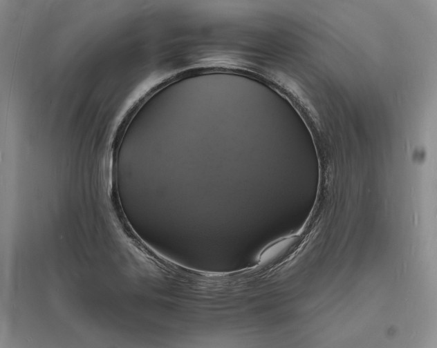 X0000094061323200711091119