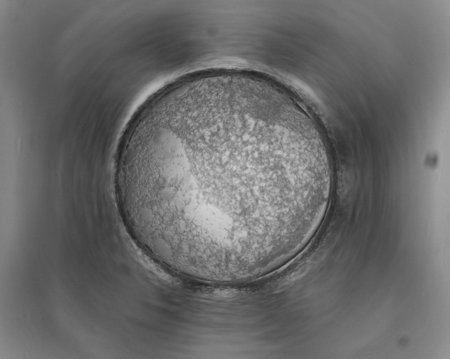 X0000094061326200711091119